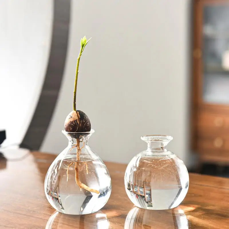 Crystal Clarity Hydroponic Vase