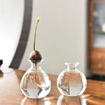 Crystal Clarity Hydroponic Vase