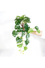 Tropical Turtle Leaf Artifical Plants