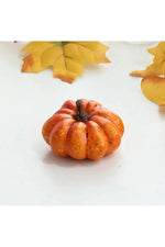 Harvest Mini Pumpkin Assortment