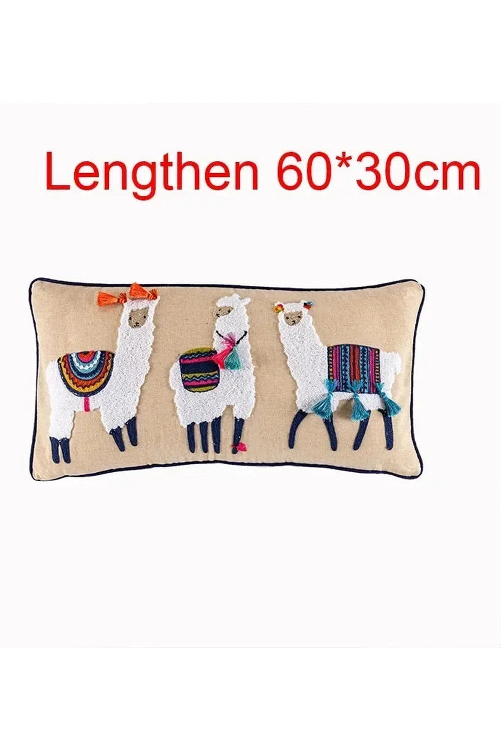 Ethnic Embroidered Pillow Case