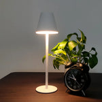 Rechargeable LED Desk Lamp