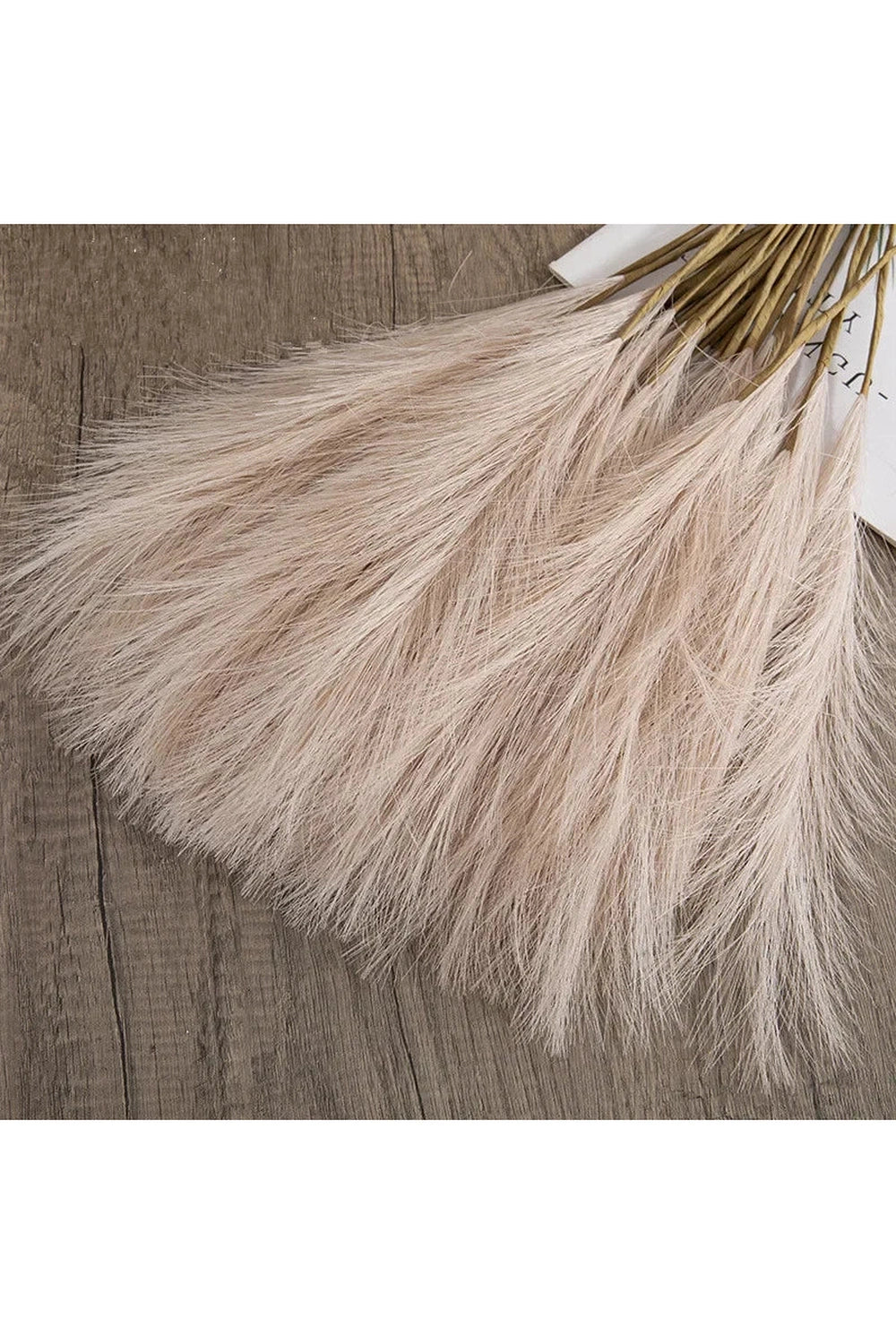 Fluffy Pampas Grass Decor