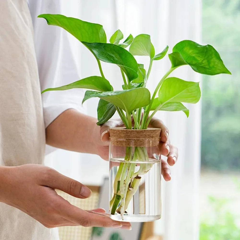 Nature Harmony Propagation Vase