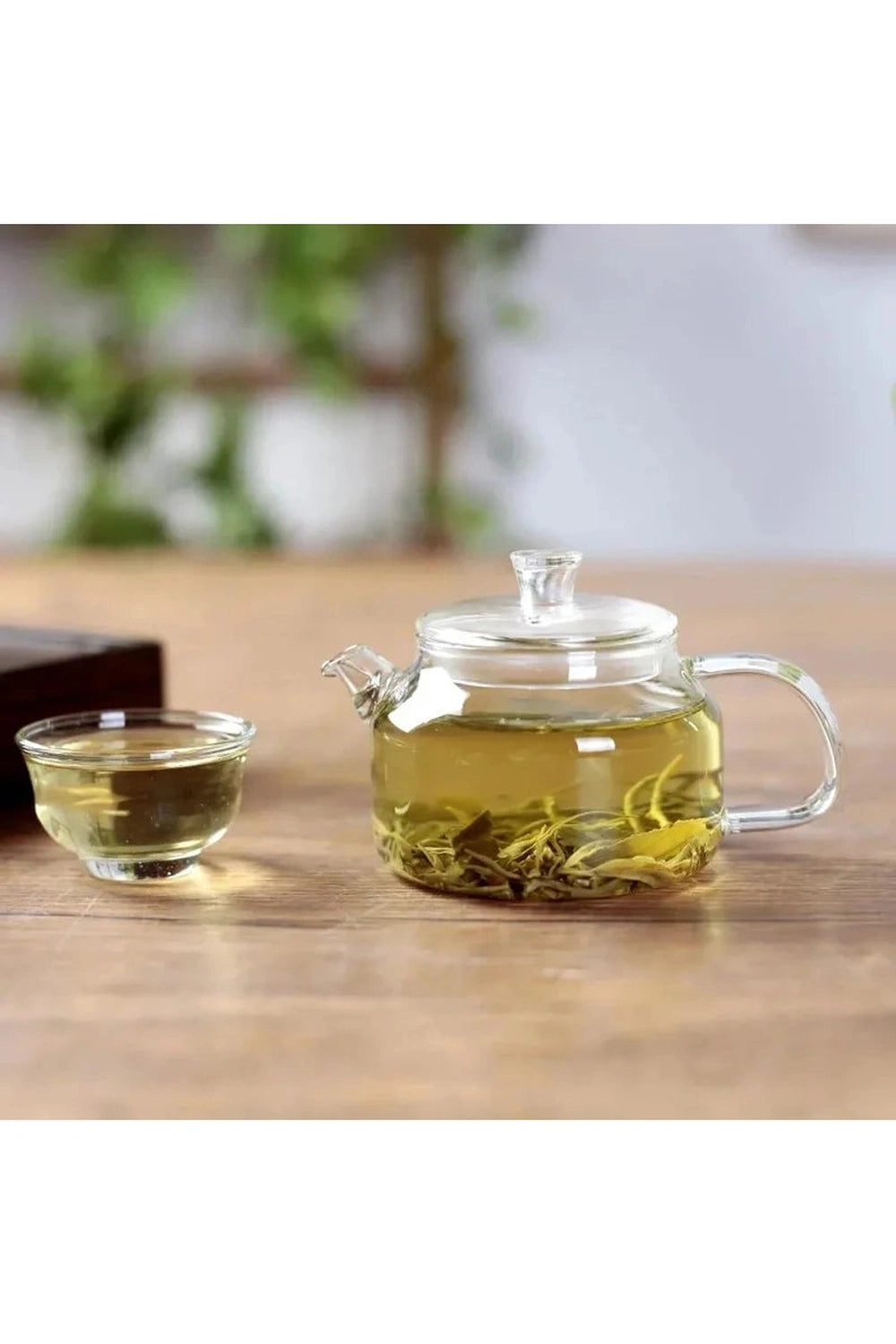 Small Glass Teapot Infuser