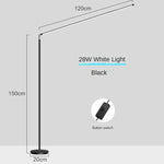 Sleek Minimalist Floor Lamp