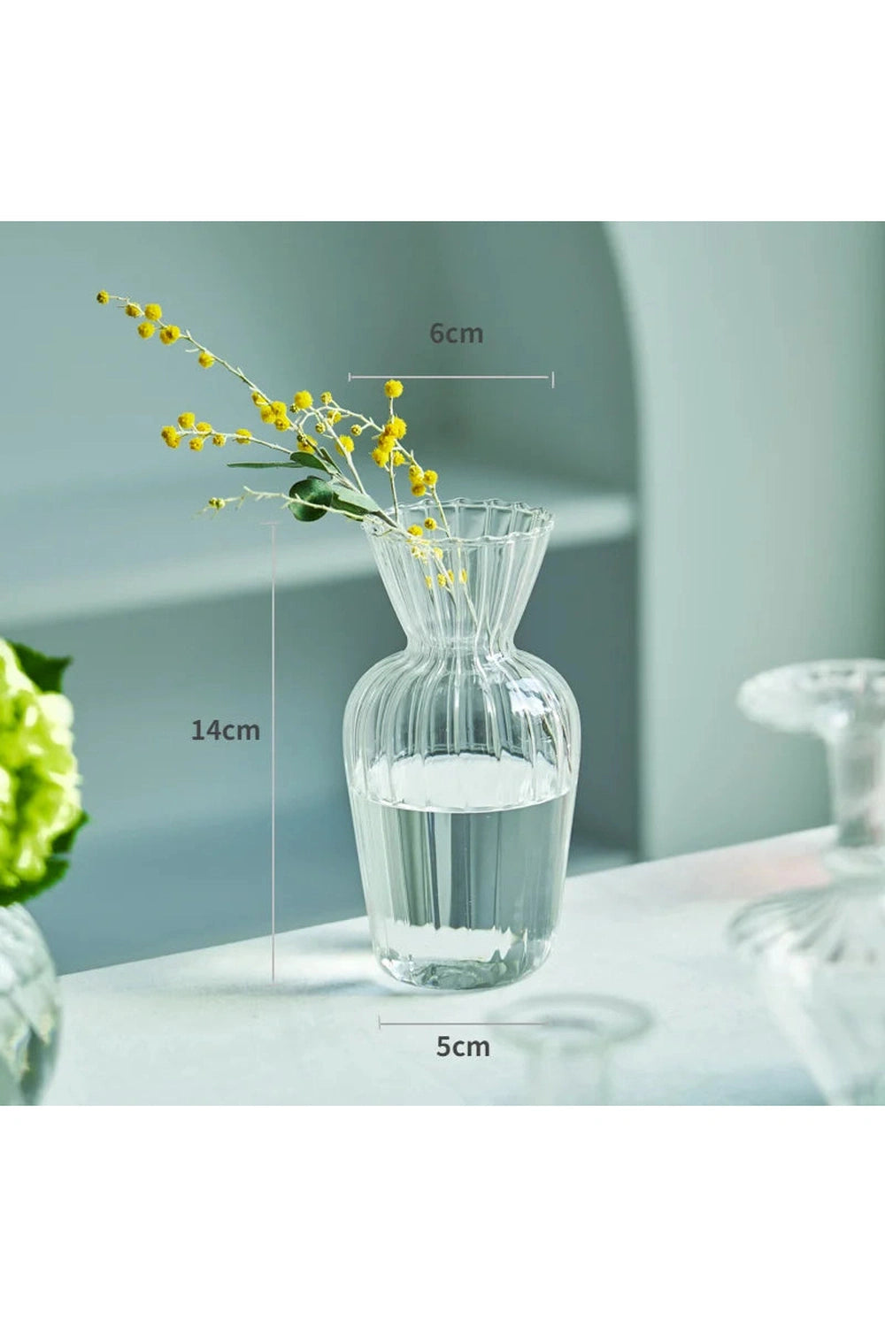 Clear Modern Glass Vase