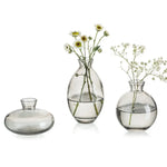 Light Academia Misty Bloom Vases