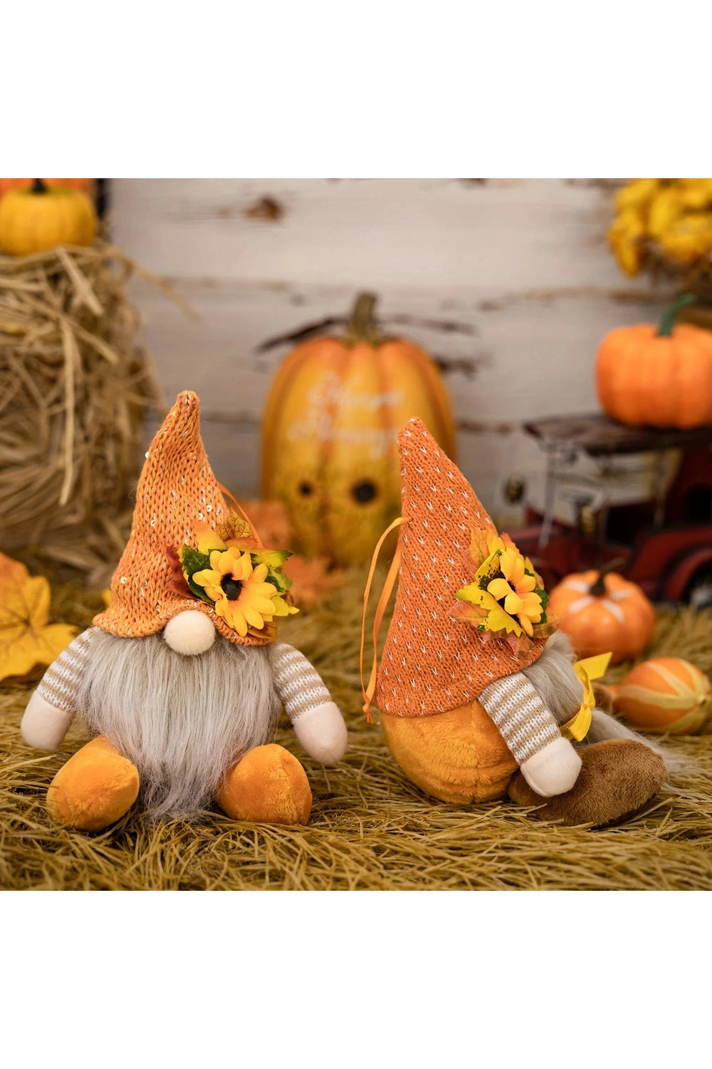 Autumn Harvest Gnome Pair