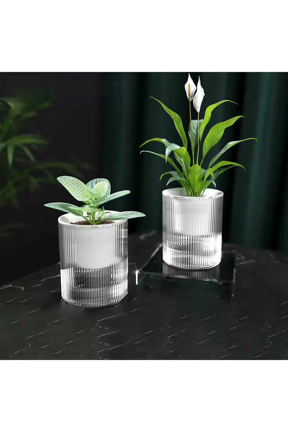 Mini Fish Tank Plant Pot