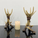 Wildwood Antler Candle Holder