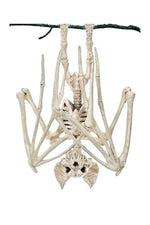 Creepy Bone Bat Wall Hanging