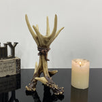 Wildwood Antler Candle Holder