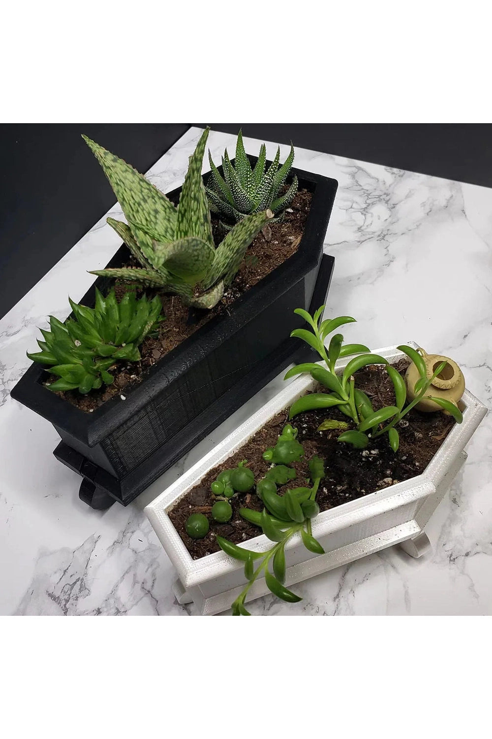 Mini Coffin Plant Pot