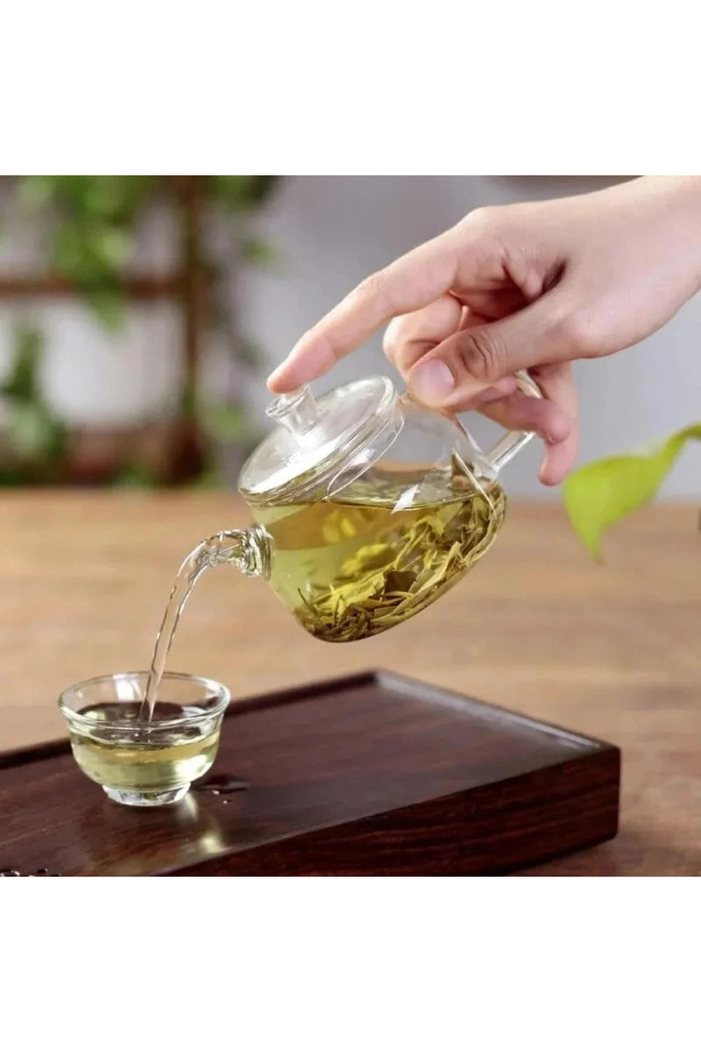 Small Glass Teapot Infuser