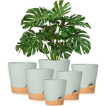 Sage Green Minimalist Plant Pots