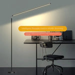 Sleek Minimalist Floor Lamp