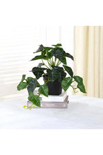 Tropical Turtle Leaf Artifical Plants