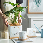 Marble Gold Leaf Plant Pot Set