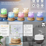 Modern Glass Dome Humidifier