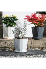 Geometric Modern Plant Pots