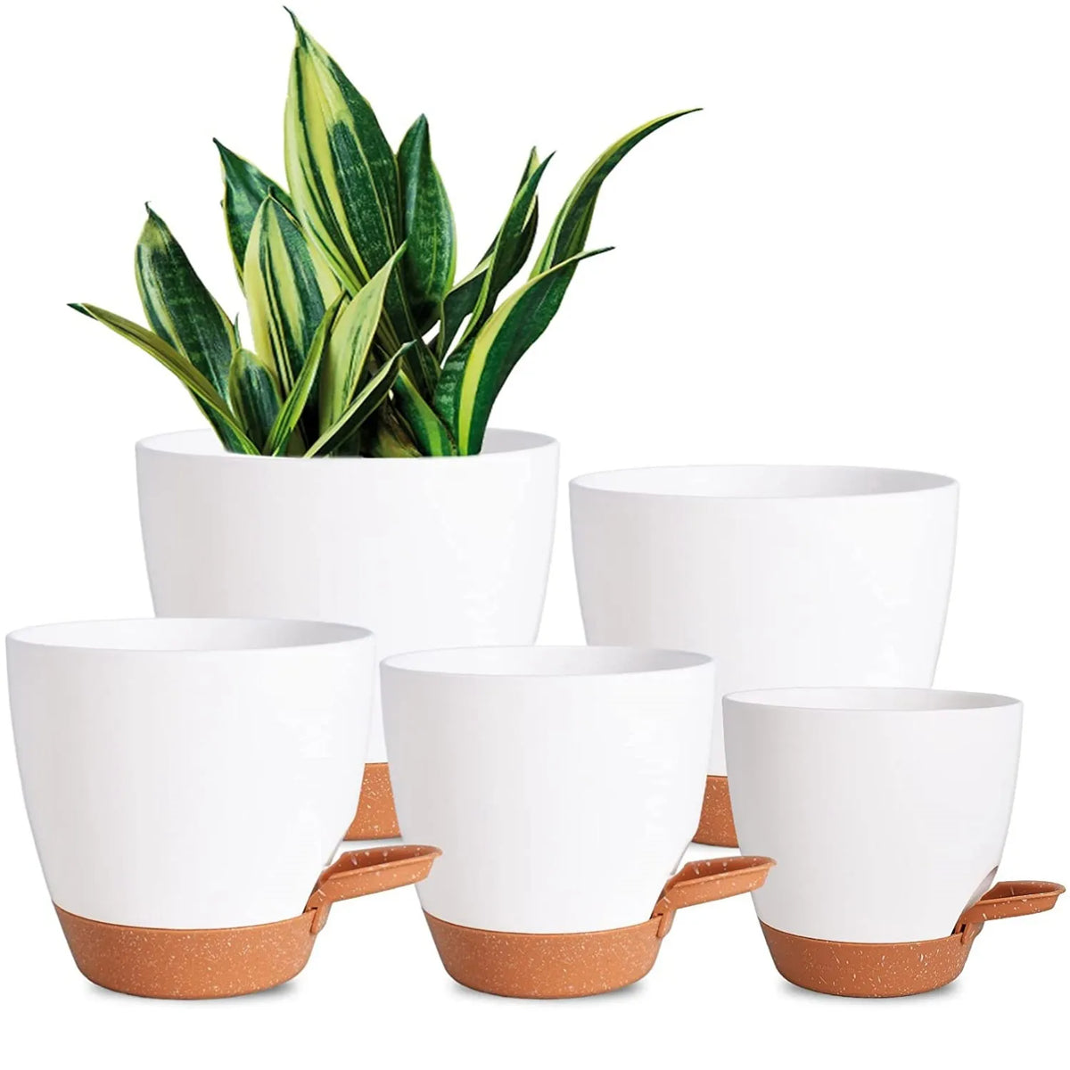 Modern Terra Planter Pot