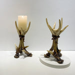 Wildwood Antler Candle Holder