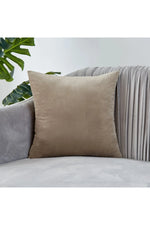 Earth Tone Velvet Pillow Case