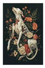 Macabre Nature Poster Collection