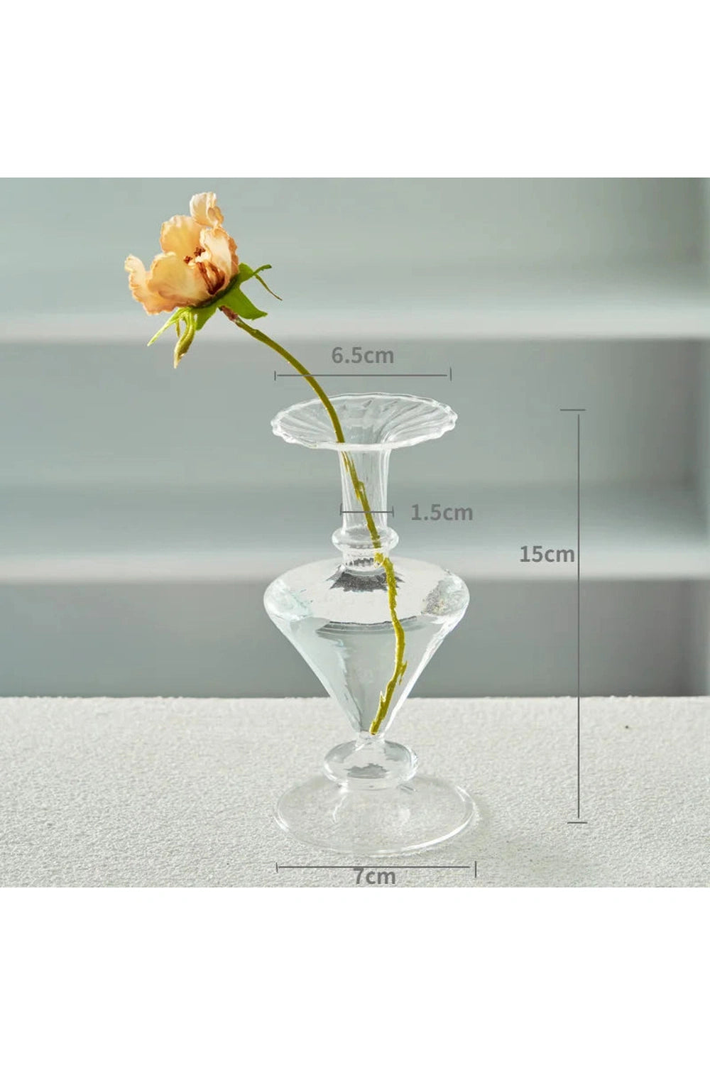 Clear Modern Glass Vase