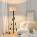 Minimalist Tripod Floor Lamp