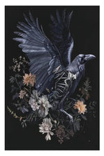 Macabre Nature Poster Collection