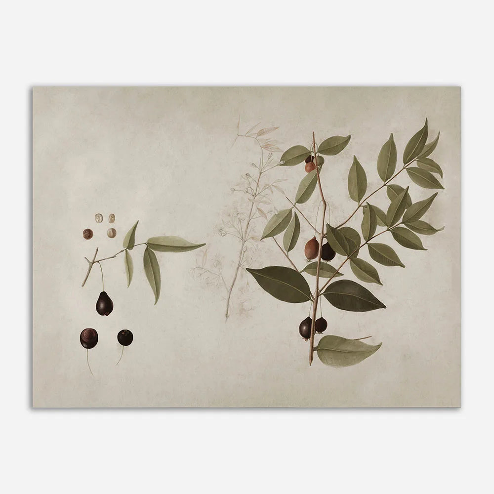 Antique Kitchen Canvas Poster