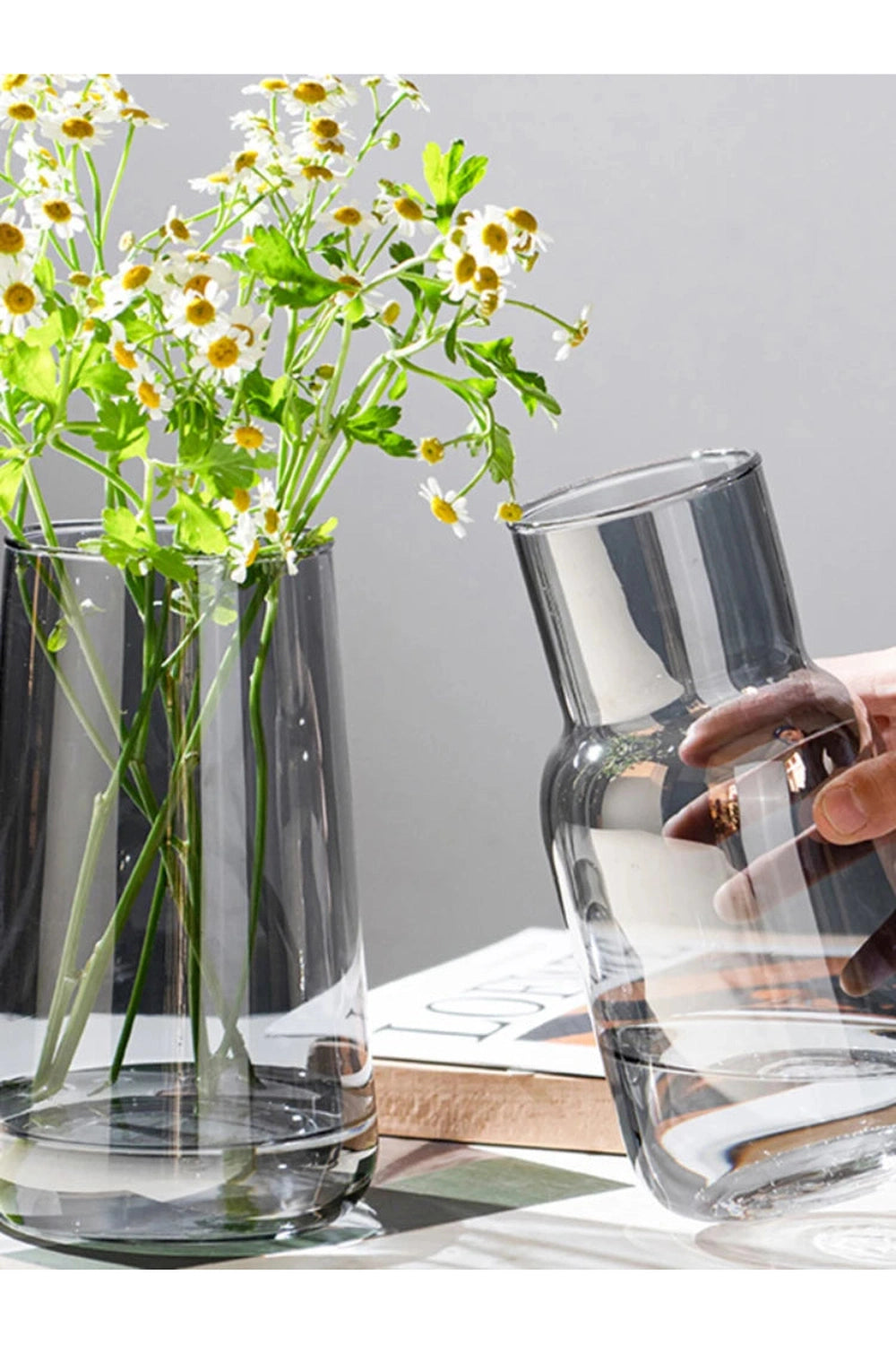 Nordic Hydroponics Glass Vase