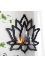 Black Lotus Essential Oil Shelf