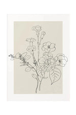 Beige Botanical Line Art Canvas Poster