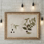 Antique Kitchen Canvas Poster