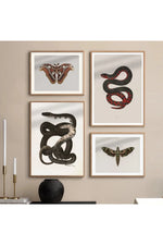 Gothic Nature Gallery Posters