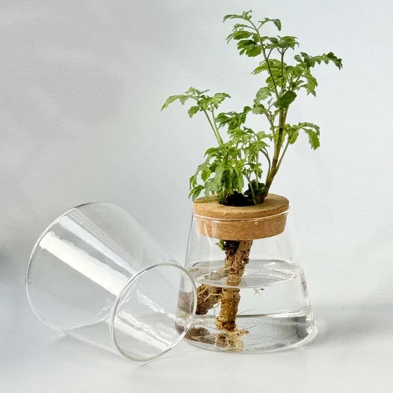 Earthy Zen Root Hydro Plant Pot