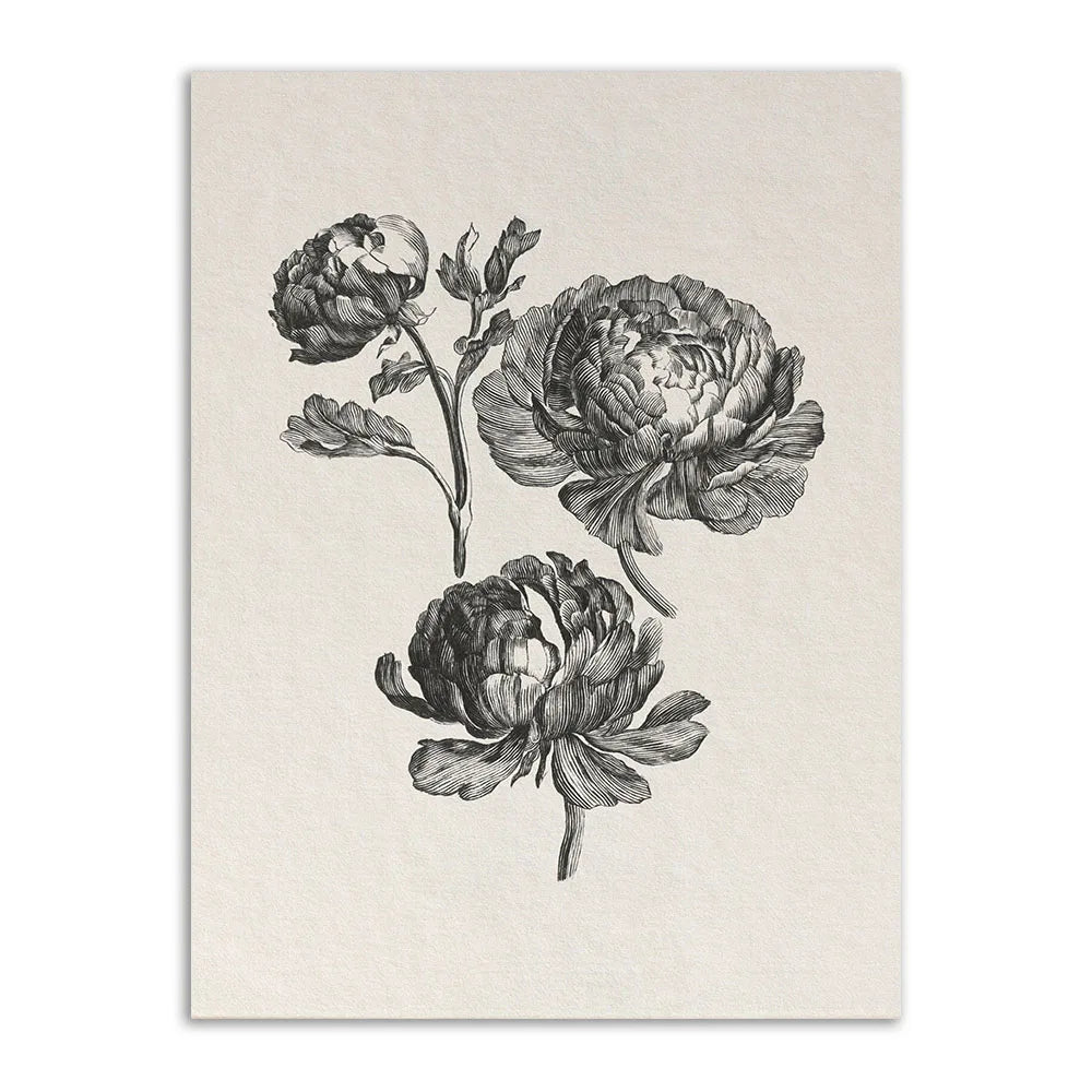 Peony Farmhouse Canvas Poster