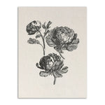 Peony Farmhouse Canvas Poster