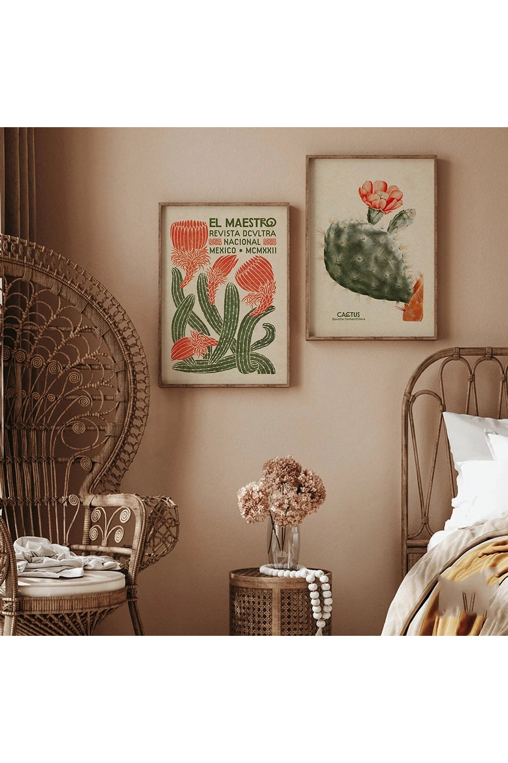 Mexican Cactus Canvas Prints