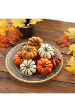 Harvest Mini Pumpkin Assortment