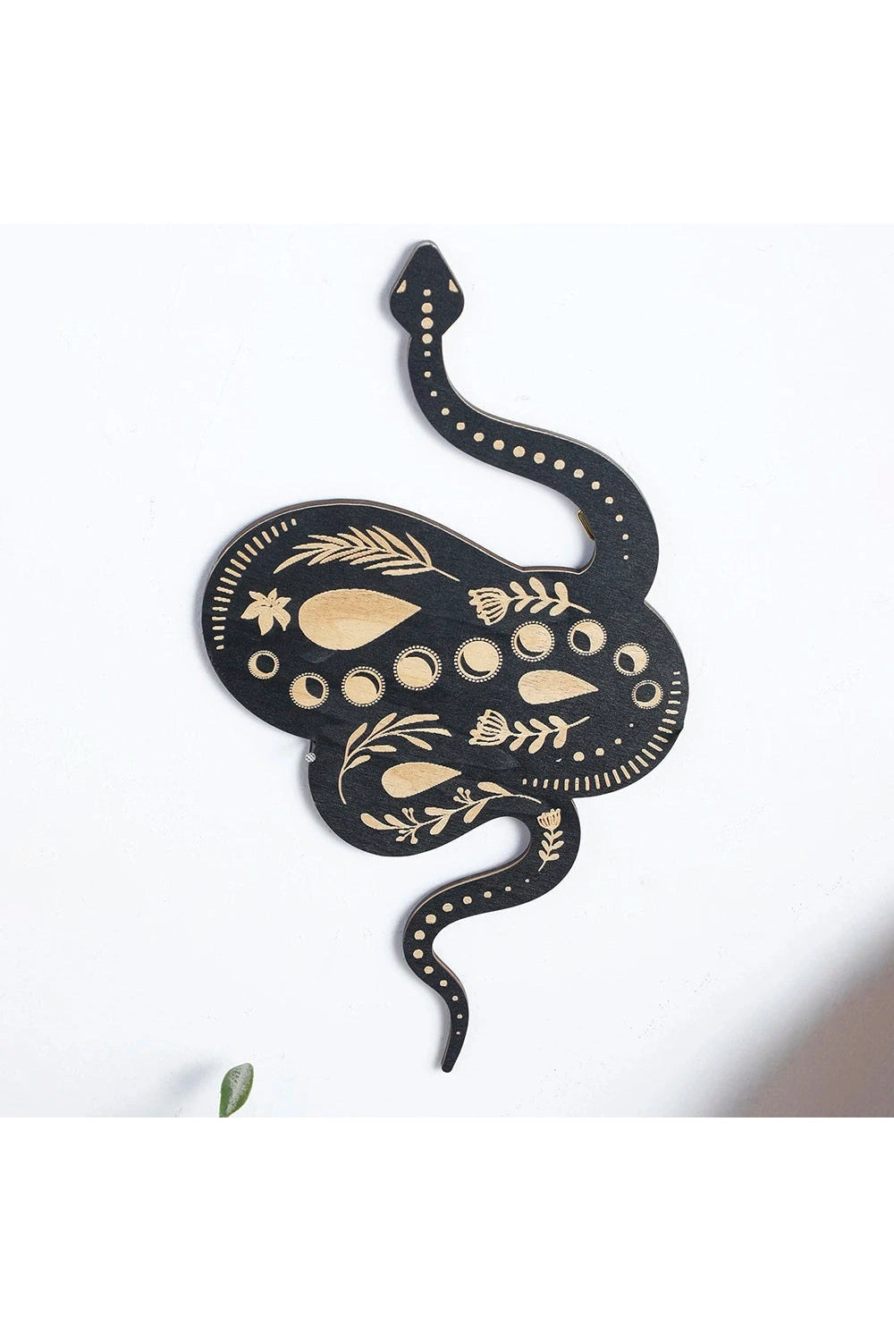 Witchy Snake Wall Art