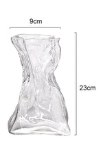 Transparent Glass Hydroponic Vase