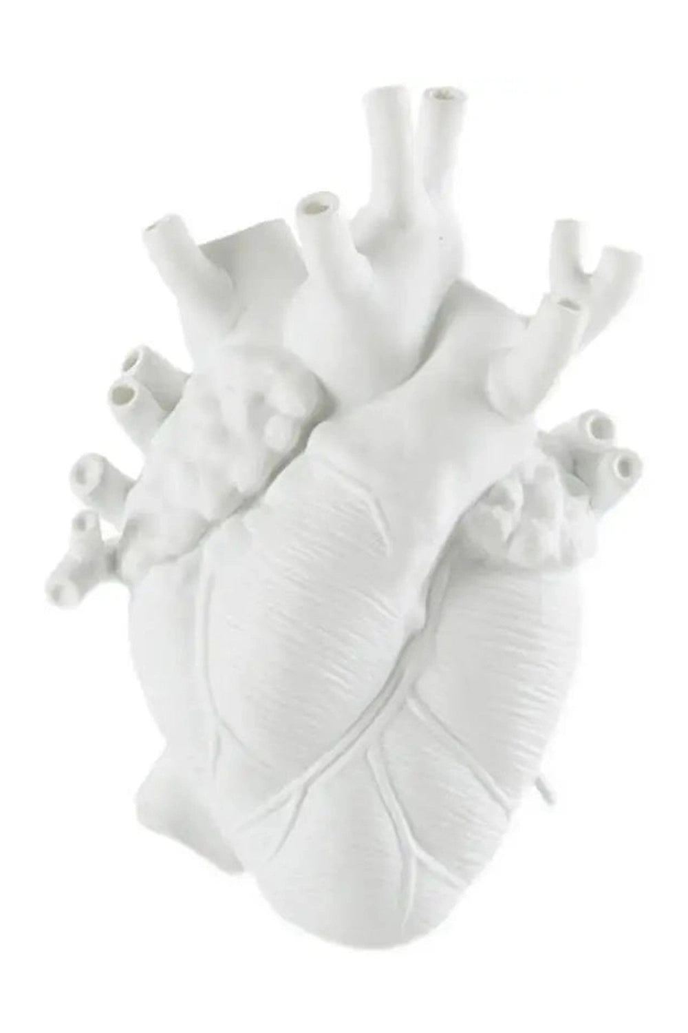 Anatomical Heart Vase