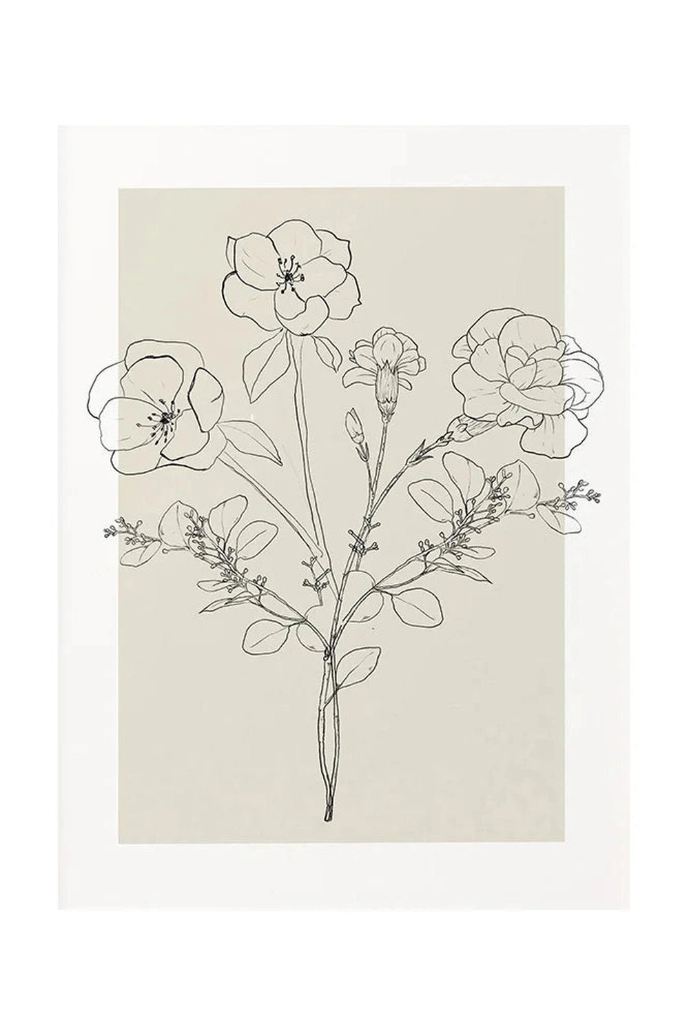 Beige Botanical Line Art Canvas Poster