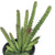 Cottagecore Artificial Plant Cactus