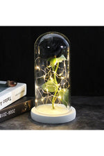 LED Illuminated Enchanted Rose Lamp