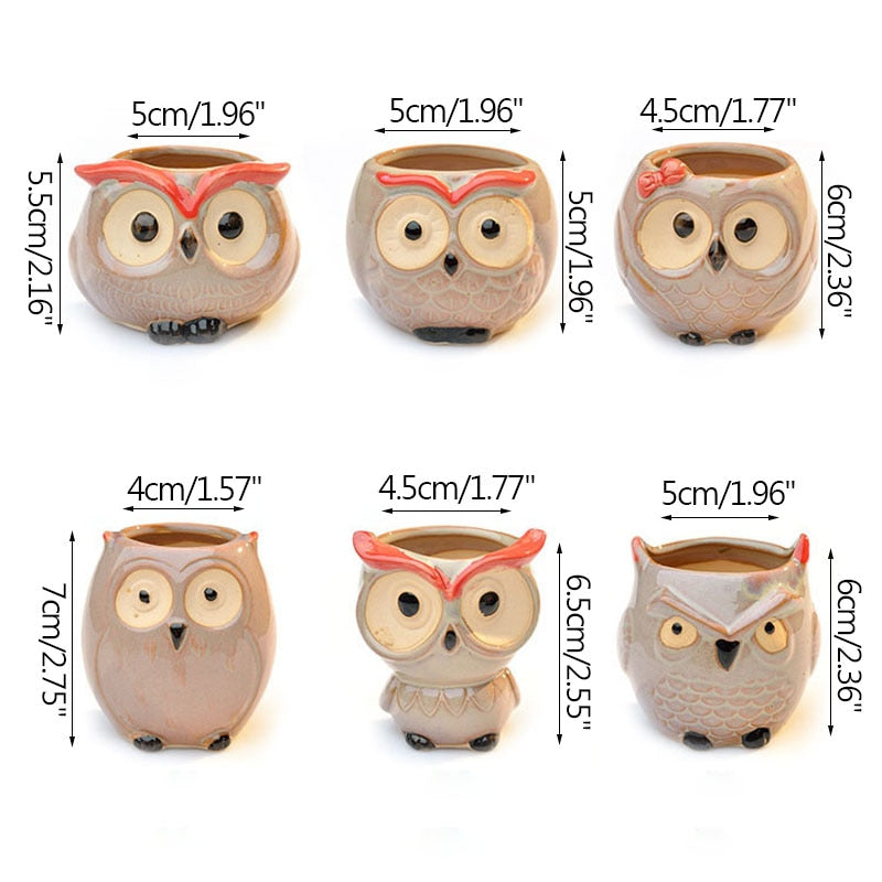 Wise Owl Ceramic Flower Pot